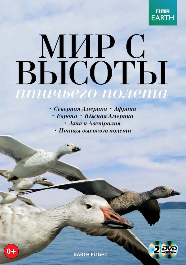 Мир с высоты птичьего полета