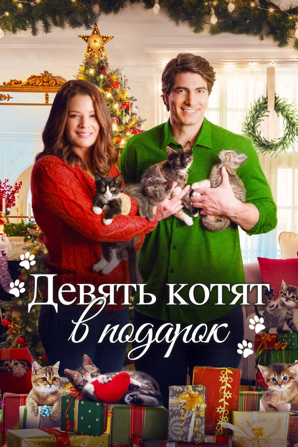Девять рождественских котят